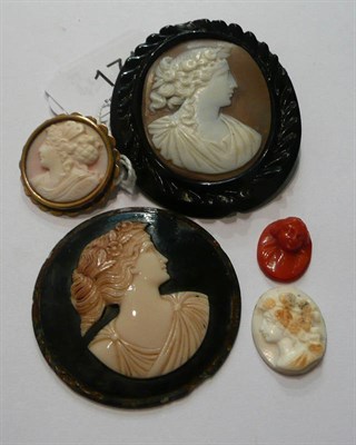 Lot 171 - A jet framed cameo brooch, a round cameo brooch within scalloped edge frame, three unmounted...