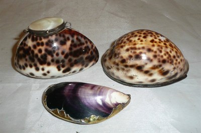 Lot 277 - Two cowrie shell snuff boxes and a mussel shell snuff box