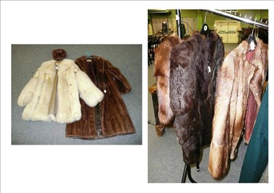 Lot 604 - Musquash coat, white fur coat, three fur capelets, hat and two scarves