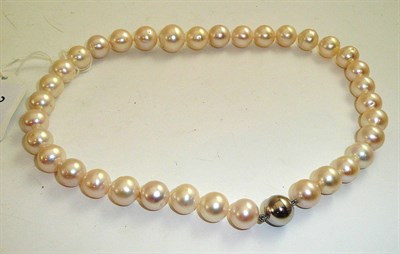 Lot 315 - A strand of cultured South Sea pearls