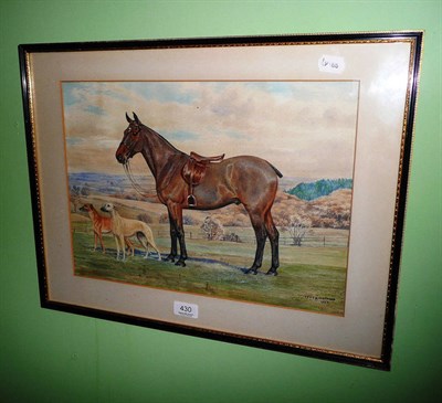 Lot 430 - DM and EM Alderson, saddled hunter and dogs in a landscape, watercolour