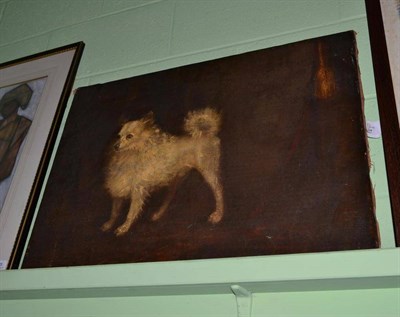 Lot 494 - Pomeranian painting attributed to Reginald Pomerani, oil on canvas of a dog