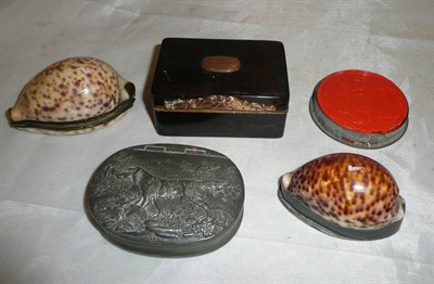 Lot 38 - Four assorted snuff boxes, 19th century, including two as cowrie shells, a tortoiseshell...