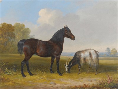 Lot 122 - Follower of John Duvall (19th century) Study of a pony and goat, with an extensive landscape beyond