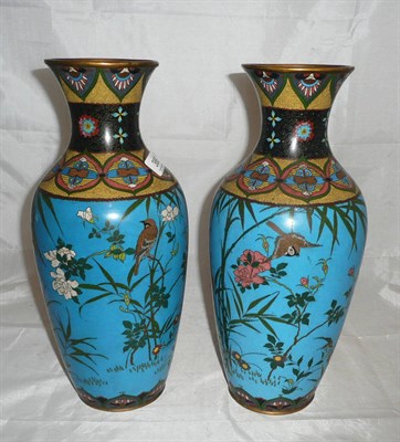 Lot 388 - Pair of Japanese, late Meiji period cloisonne vases, worked with sparrows amongst blossoms