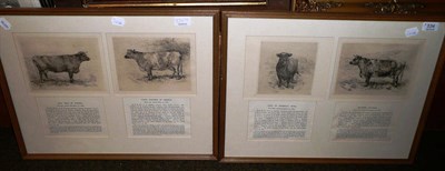 Lot 534 - A…M…W… A set of four studies of cattle, drypoint etchings, each titled and...