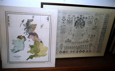 Lot 552 - A black and white engraved chart of Blazonry, framed and a lithographic map of Great Britain...