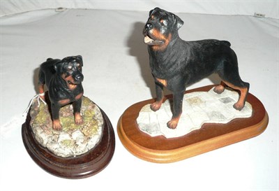 Lot 323 - A Border Fine Arts Rottweiller and another (2)