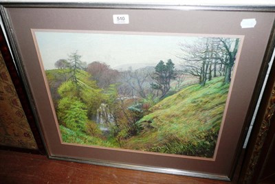 Lot 510 - Judith Bromley - pastel 'Whitfield Ghyll'