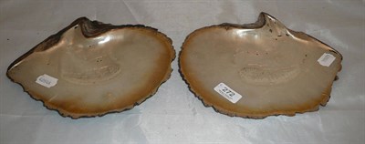 Lot 272 - Two large mother-of-pearl shells