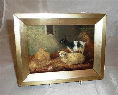 Lot 454 - Albert Jackson, 'Sheep and goat in a barn', oil on board