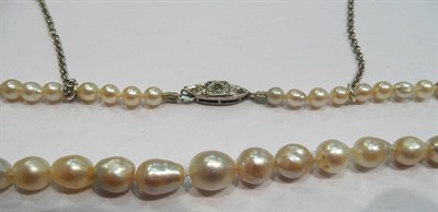 Lot 232 - Freshwater pearl necklace with diamond set clasp, in box