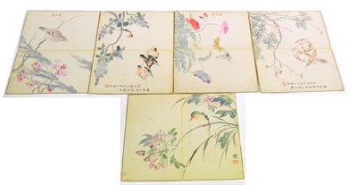 Lot 123 - Chinese School A set of five studies of birds amongst branches Seal marks and painted...