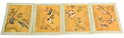 Lot 124 - Chinese School A set of four studies of birds amongst branches With calligraphy and seals, 24cm...
