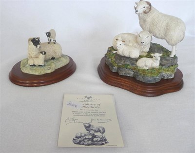 Lot 1025 - Border Fine Arts "A Shetland sheep family group", model No. B0597A, and "King of the Castle", model