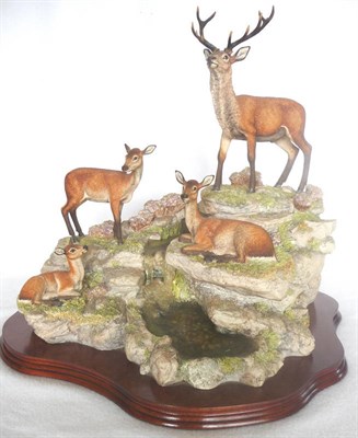 Lot 1031 - Border Fine Arts "Monarch Of Glen Mhor", model No. BFA205 by David Walton, Ltd. edition No. 75/500