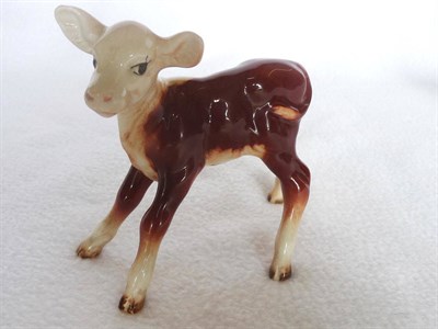 Lot 1054 - Beswick "Hereford Calf", model No. 901B second version-mouth closed, brown and white gloss,...