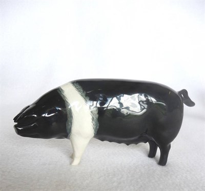 Lot 1056 - Beswick "Wessex Saddleback Sow Ch. "Merrywood Silver Wings 56th", model No. 1511, black and...