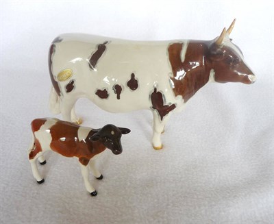 Lot 1061 - Beswick "Ayrshire Bull Ch. "Whitehill Mandate"" model No. 1454B second version, brown and white...