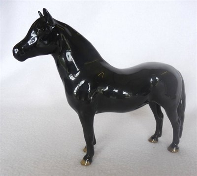 Lot 1070 - Rare Beswick "Dartmoor Pony 'Jentyl'", model No. 1642, black gloss, 15.9cm.  This was a special...