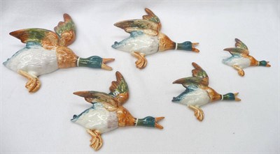 Lot 1092 - A Set of Five Beswick "Mallard's", Model No's. 596/0, 596/1, 596/2, 596/3, 596/4, all gloss