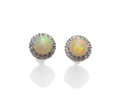 Lot 222 - A Pair of Opal and Diamond Cluster Stud Earrings, a round cabochon opal within a border of...