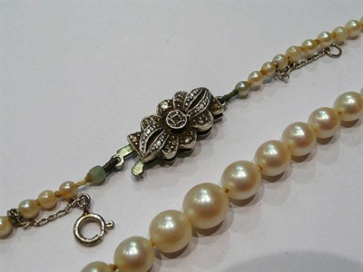 Lot 277 - A strand of cultured pearls with a snap marked '9CT'