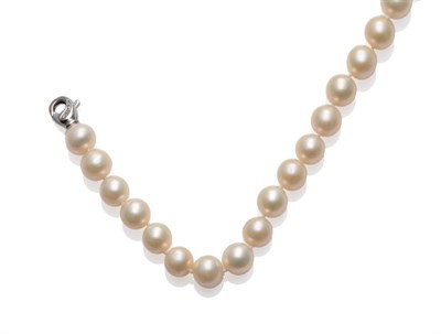 Lot 228 - A Cultured South Sea Pearl Necklace, the thirty-six slightly off-round pearls knotted to a...