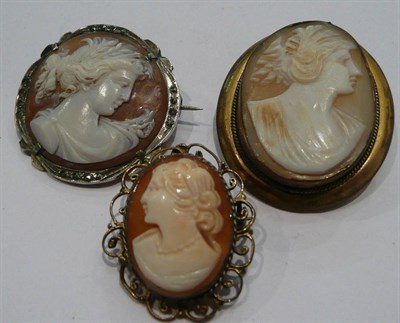 Lot 384 - Three cameo brooches