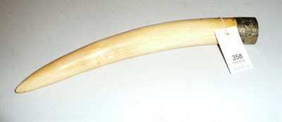 Lot 358 - An Indian elephant small tusk with embossed metal mount and original inset fixing bracket,...