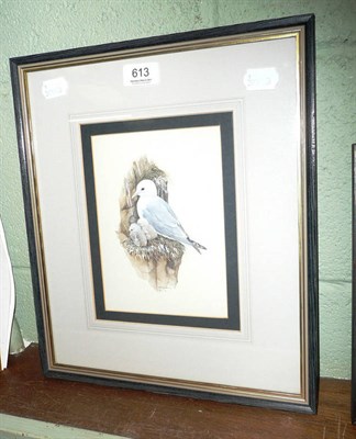 Lot 613 - Watercolour of a seagull and chicks by Kathleen Nelson, signed and dated 27.2.76