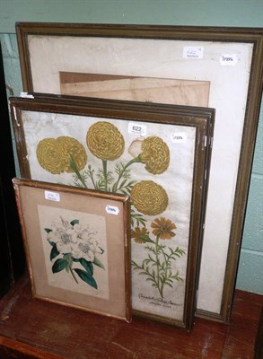 Lot 622 - Four framed botanical prints/book plates