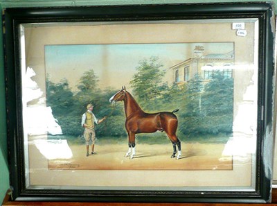 Lot 498 - H W Standing watercolour and gouache study of a stallion cob dated 1904