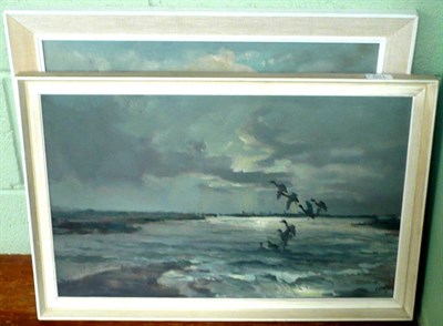 Lot 501 - Two framed oils on board, coastal scenes with birds signed Cox