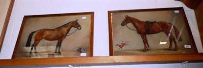 Lot 482 - A pair of pastels by Frank Prosser, Chestnut and a bay hunter, dated 1949