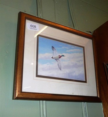 Lot 608 - Richard Robjent, study of a mallard in flight