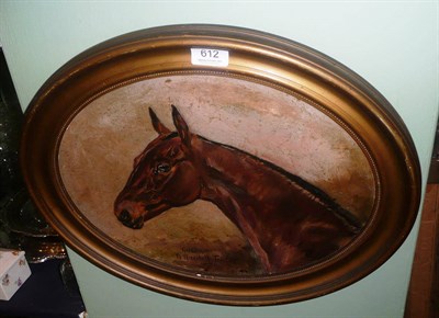 Lot 612 - W Wasdell Trickett, oval portrait of a race horse 'Queenie', oil on panel