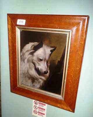 Lot 615 - Framed oil on board of a white dog