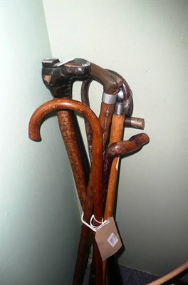 Lot 176 - Eight walking sticks