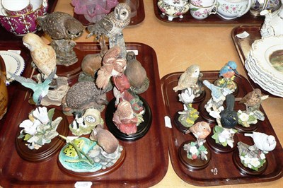 Lot 237 - Three Border Fine Art owls, a hare, a rabbit and three others and a tray of Country Artists birds