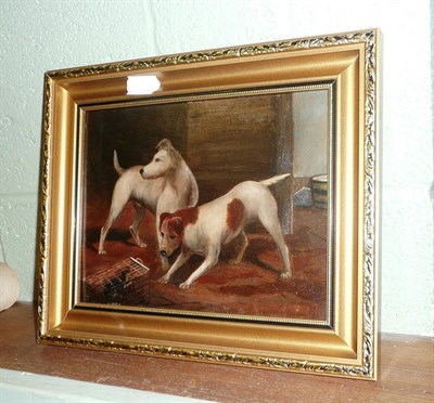 Lot 377 - Small framed oil on canvas of two terriers