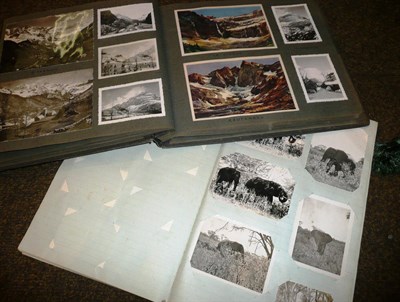 Lot 255 - A box of stereoscope cards, two photograph albums with contents and a blank album