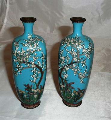 Lot 330 - A pair of cloisonne enamel vases decorated with blossoming trees