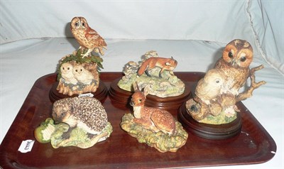 Lot 43 - Five Border Fine Arts figures of owls, fawn, fox and hedgehog