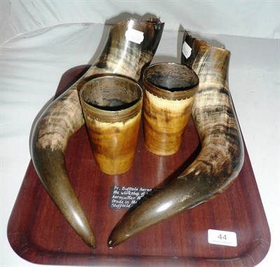 Lot 44 - A pair of buffalo horns and a pair of horn beakers with Sheffield plate marks