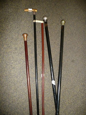 Lot 280 - Five assorted canes