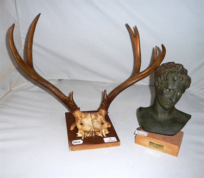 Lot 3 - Mounted horns and a bust of a youth