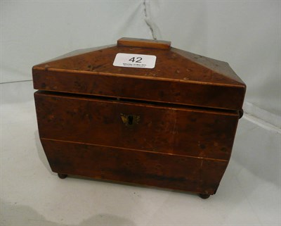 Lot 42 - George III burr yew wood tea caddy