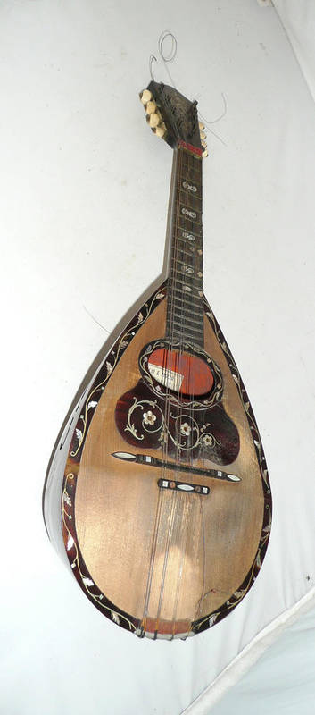 Lot 1067 - A 19th Century Mandolin by Giovanni De Meglio, number 230, circa 1890, with printed makers...