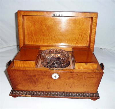 Lot 155 - William IV satin birch tea caddy stamp 'H J Snelgrove'